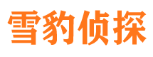 德惠市调查公司